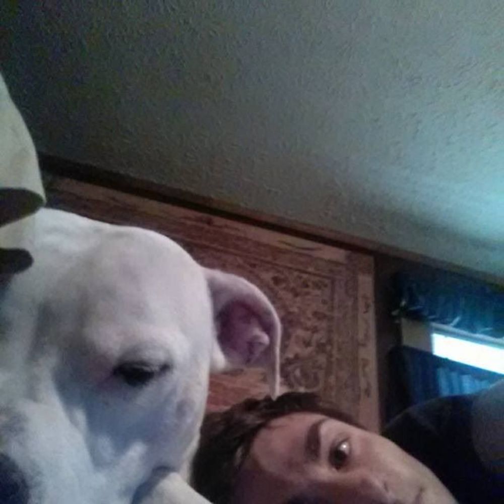 Meet your Posher, Dylan